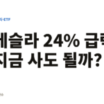 테슬라 24% 급락 지금 사도 될까?